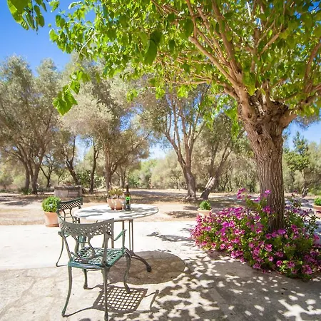 Agroturismo Son Not Arta Exterior photo